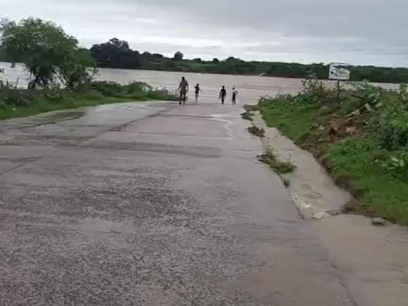 Heavy rain continues in Sheopur for the last 48 hours water everywhere ...