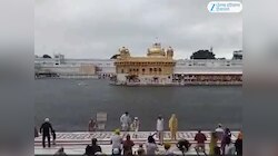 ਗੁਰਤਾਗੱਦੀ ਦਿਵਸ ਉਤੇ ਸੰਗਤ ਸੱਚਖੰਡ ਸ੍ਰੀ ਹਰਿਮੰਦਰ ਸਾਹਿਬ ਵਿਖੇ ਨਤਮਸਤਕ ਹੋਣ ਪੁੱਜੀ