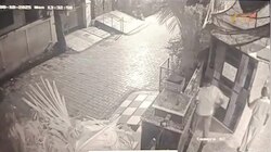 Mathura Viral Video: 7 सेकंड में मौत का लाइव वीडियो, ऐसा कैसे हुआ देखकर भी नहीं होगा यकीन