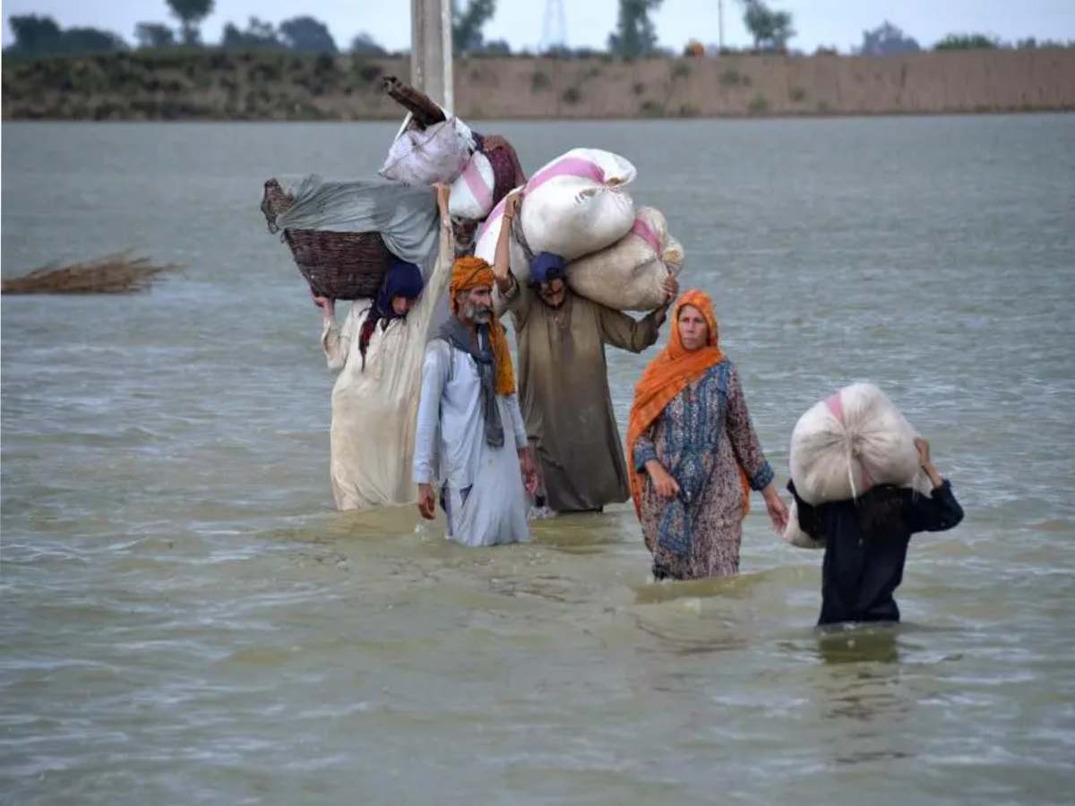 India ने Pakistan को बाढ़ के लिए क्यों किया अलर्ट? तबाही का है अंदेशा India ने Pakistan को बाढ़ के लिए क्यों किया अलर्ट? तबाही का है अंदेशा