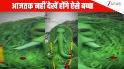 एंड द अवॉर्ड गोज टू....आजतक नहीं देखें होंगे ऐसे बप्पा, लंबी-लंबी जटाएं और विशाल रूप; Ganesh Chaturhi पर कीजिए कोल्हापुर के महाराज के दर्शन