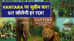 VANTARA में क्या गड़बड़ चल रही है? जांच के लिए सुप्रीम कोर्ट ने बनाई SIT; जानिए माजरा
