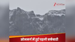 बारिश के बाद सोनमर्ग में हुई सीजन की पहली बर्फबारी, बर्फ की चादर ने बनाया जन्नत जैसा