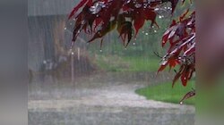 बारिश वाला वीकेंड, आज और कल झमाझम बारिश के आसार! जानें सितंबर की कैसी होगी शुरुआत