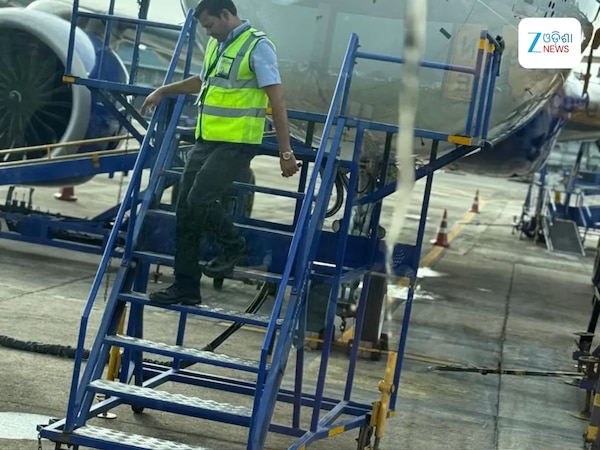 Indigo Emergency Landing: ମଝି ଆକାଶରେ ପକ୍ଷୀ ସହ ମାଡ ହେଲା ବିମାନ, ନାଗପୁରରେ ଜରୁରୀ ଅବତରଣ