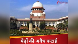 'पेड़ों की अवैध...', देश के कई हिस्सों में आई बाढ़ पर SC ने इन राज्यों से मांगा जवाब