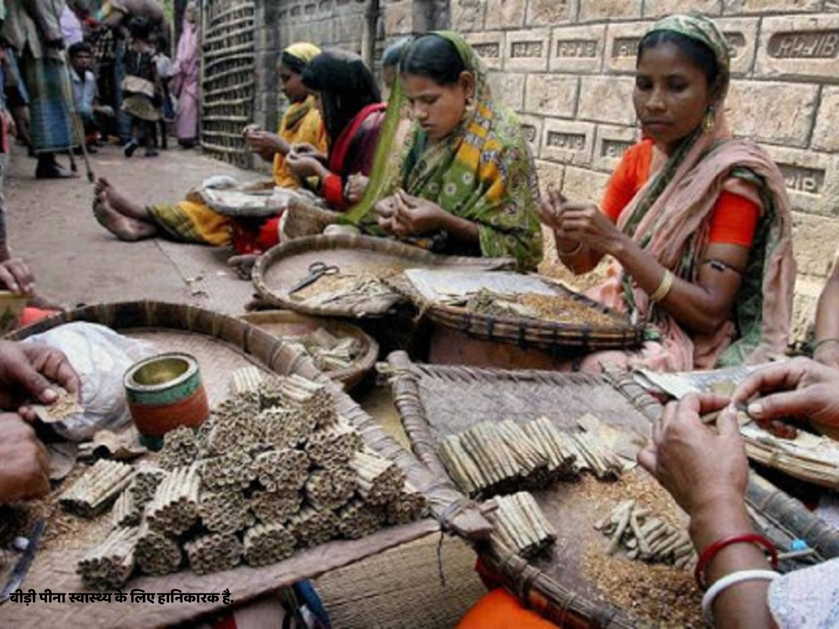 तंबाकुओं में 'दलित' हूं क्योंकि मैं बीड़ी हूं! हमेशा मेरे साथ भेदभाव किया जाता रहा तंबाकुओं में 'दलित' हूं क्योंकि मैं बीड़ी हूं! हमेशा मेरे साथ भेदभाव किया जाता रहा