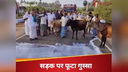 ये किसी काम लायक नहीं है...इस राज्य में कंपनी ने नहीं खरीदा दूध, सड़क पर फूटा गुस्सा