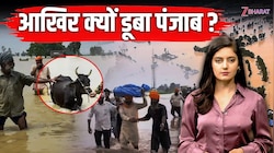 आखिर क्यों डूबा पंजाब? गांव, फसलें और हजारों लोगों का जीना हुआ मुहाल; देखें VIDEO