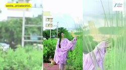 ଭାଇରାଲ ହେଲା ଅଭିନେତ୍ରୀ ବର୍ଷା ପ୍ରିୟଦର୍ଶିନିଙ୍କ ଏହି ଭିଡିଓ...