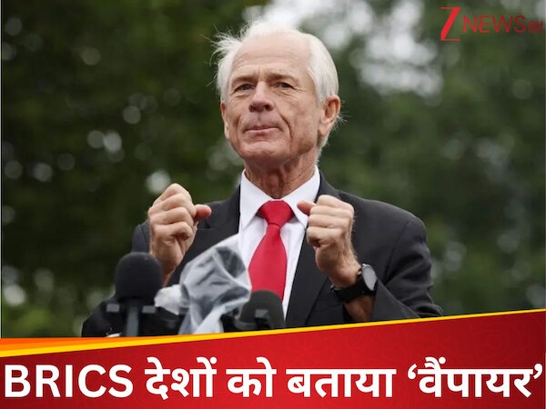 'वो अमेरिका का खून चूस...',ट्रंप के सहयोगी पीटर नवारो ने भारत और BRICS पर बोला हमला; कहा 'वैंपायर' 