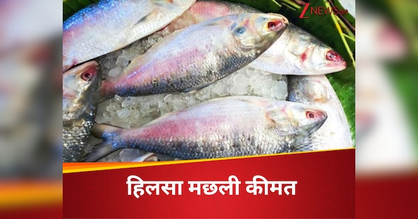 भारत के लिए बांग्लादेश ने खोला हिलसा का खजाना, लेकिन पिछले साल के मुकाबले मार्केट में कम दिखेंगी मछलियां, जेब पर दिखेगा असर