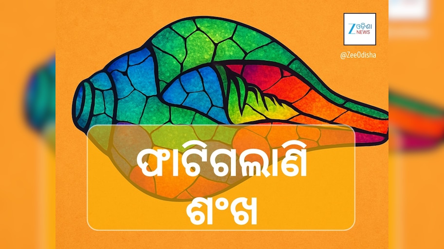 Bjd: ବିଜେଡିରେ ବିଭାଜନ ଭୟ:  ନେତାଙ୍କୁ ମନେଇବାକୁ ବୁଲୁଛନ୍ତି ପାଣ୍ଡିଆନ୍‍ଙ୍କ ଦୂତ!