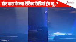 'होर दास केन्या टैरिफा छैडियां Trump नू..'? US कॉन्सर्ट के दौरान ट्रंप पर निशाना साधते दिखे Badshah, VIRAL VIDEO