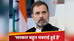 'वोट चोरी कैंपेन से घबराई हुई है सरकार', राहुल की सिक्योरिटी पर कांग्रेस का पलटवार
