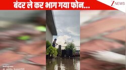 Madhuri Dixit के गाने पर रील बना रही थी लड़की, बंदर आया और फोन लेकर भाग गया; देख हंसी छूट जाएगी