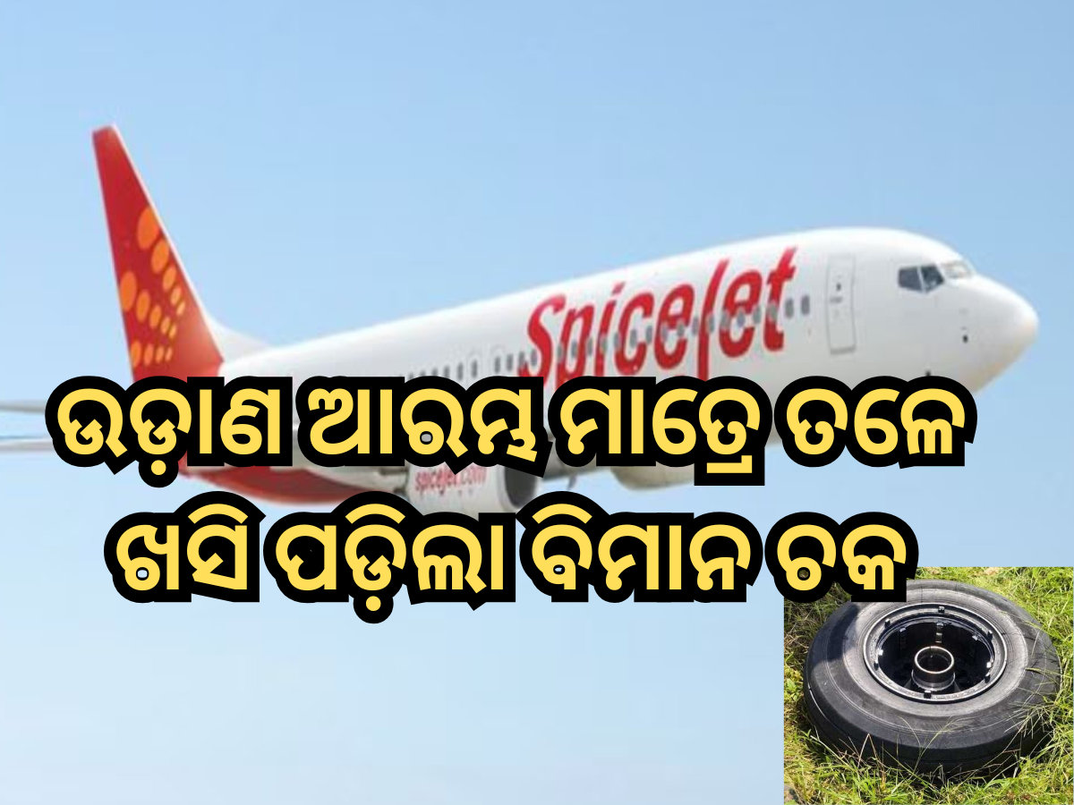 SpiceJet Incident: ମୁମ୍ବାଇ ଅଭିମୁଖେ ଉଡ଼ାଣ ଆରମ୍ଭ କରିବା ମାତ୍ରେ ତଳେ ଖସି ପଡ଼ିଲା ସ୍ପାଇସଜେଟ୍ ବିମାନର ଚକ SpiceJet Incident: ମୁମ୍ବାଇ ଅଭିମୁଖେ ଉଡ଼ାଣ ଆରମ୍ଭ କରିବା ମାତ୍ରେ ତଳେ ଖସି ପଡ଼ିଲା ସ୍ପାଇସଜେଟ୍ ବିମାନର ଚକ