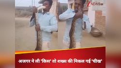 दोस्तों के सामने अजगर को दिखा रहा था, फिर 'सांप' ने होंठों पर ली ऐसी चुम्मी कि...