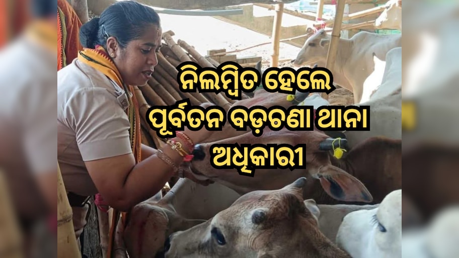 IIC Madhusmita Behera Suspended: ନିଲମ୍ୱିତ ହେଲେ ପୂର୍ବତନ ବଡ଼ଚଣା ଥାନା ଅଧିକାରୀ ମଧୁସ୍ମିତା ବେହେରା