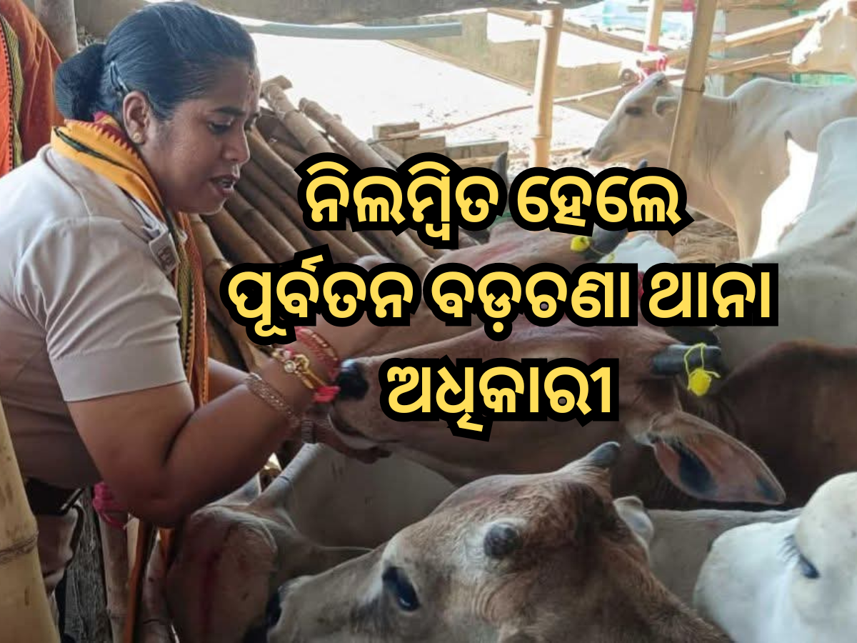 IIC Madhusmita Behera Suspended: ନିଲମ୍ୱିତ ହେଲେ ପୂର୍ବତନ ବଡ଼ଚଣା ଥାନା ଅଧିକାରୀ ମଧୁସ୍ମିତା ବେହେରା IIC Madhusmita Behera Suspended: ନିଲମ୍ୱିତ ହେଲେ ପୂର୍ବତନ ବଡ଼ଚଣା ଥାନା ଅଧିକାରୀ ମଧୁସ୍ମିତା ବେହେରା