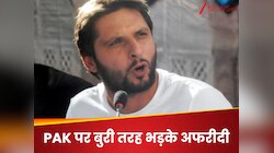 'टीम में एक भी मैच विनर नहीं...', PAK की अफरीदी ने खोली पोल, भारत से हार के बाद भड़के