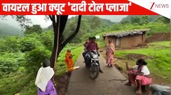 इससे प्यारा टोल प्लाजा कहीं नहीं मिलेगा! दादियों ने गांव में शुरु किया अपना ही टोल, ऐसे वसूलती हैं पैसा; देखिए वीडियो