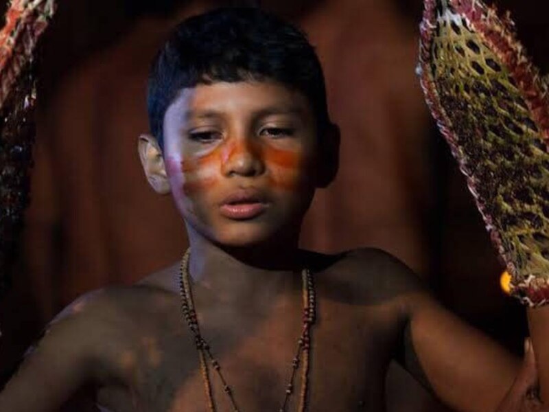 Brazilian Tribe Uses Bullet Ant Gloves to Initiate Boys Into Manhood ...