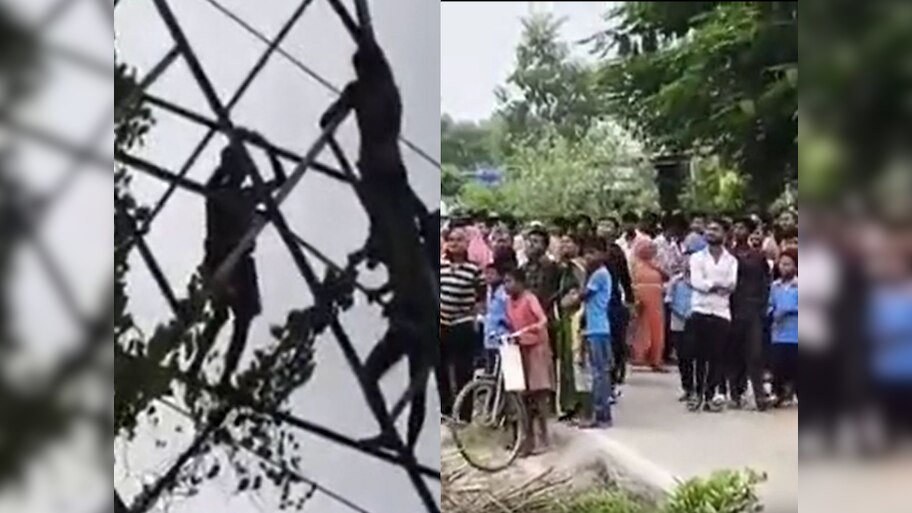 Begusarai News: पत्नी और भाई से विवाद के बाद युवक बिजली के पोल पर चढ़ा, फिल्मी स्टाइल में मचाया हंगामा