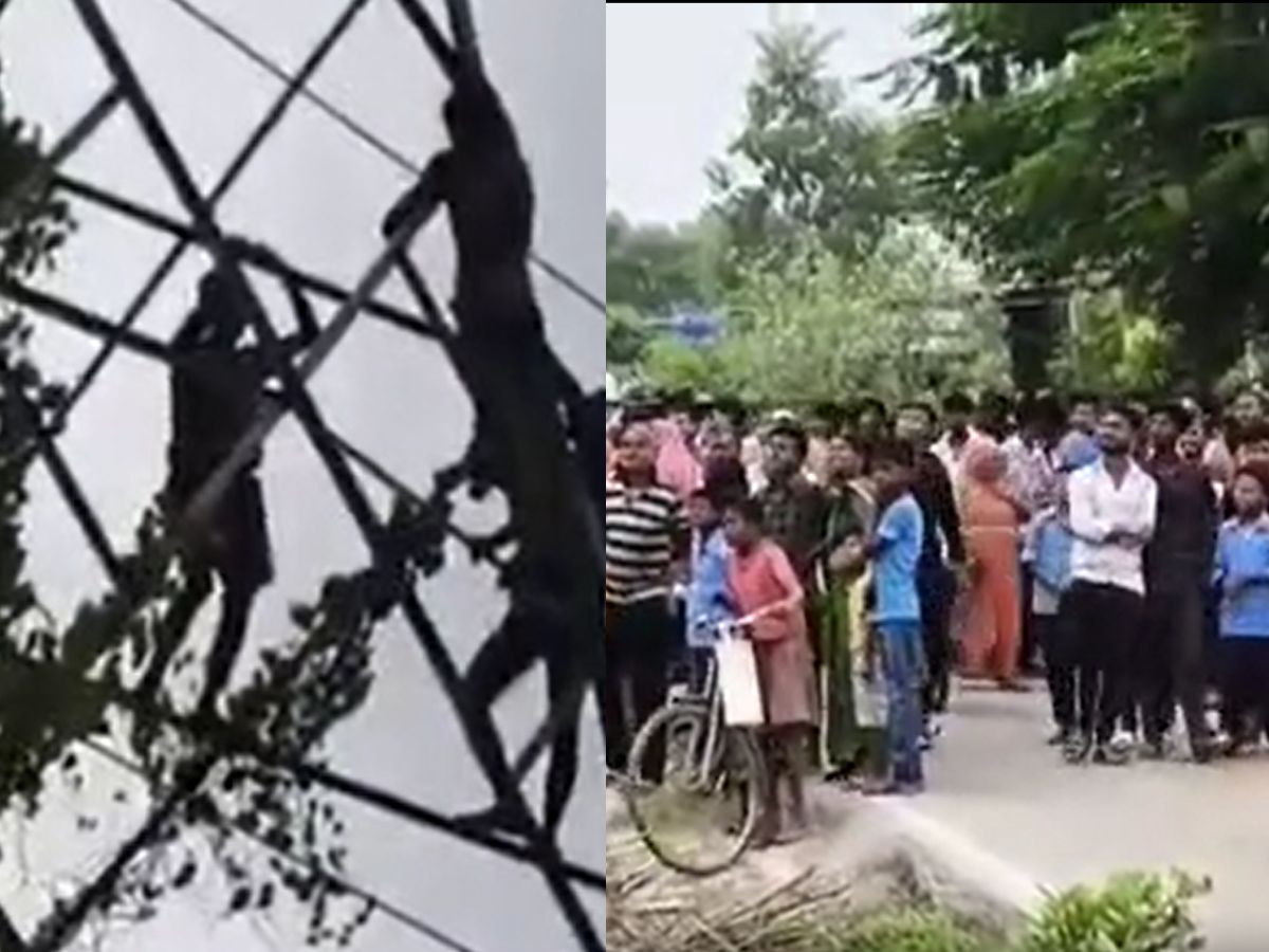 Begusarai News: पत्नी और भाई से विवाद के बाद युवक बिजली के पोल पर चढ़ा, फिल्मी स्टाइल में मचाया हंगामा Begusarai News: पत्नी और भाई से विवाद के बाद युवक बिजली के पोल पर चढ़ा, फिल्मी स्टाइल में मचाया हंगामा