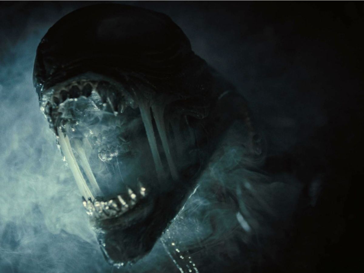 2024 Biggest Scariest Science Fiction Horror Film Alien Romulus Gives ...