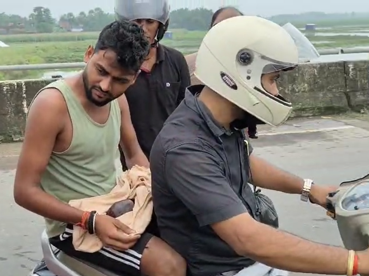 पूर्णिया में मां ने 7 महीने की नवजात को सड़क किनारे छोड़ा पूर्णिया में मां ने 7 महीने की नवजात को सड़क किनारे छोड़ा