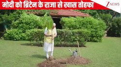 PM Modi ने अपने आवास पर लगाया King Charles III का गिफ्ट किया पौधा, दिया पर्यावरण संरक्षण का खास मैसेज