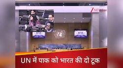 पाकिस्तान ने UN में उठाया सिंधु जल संधि का मुद्दा, भारत ने जमकर लताड़ा