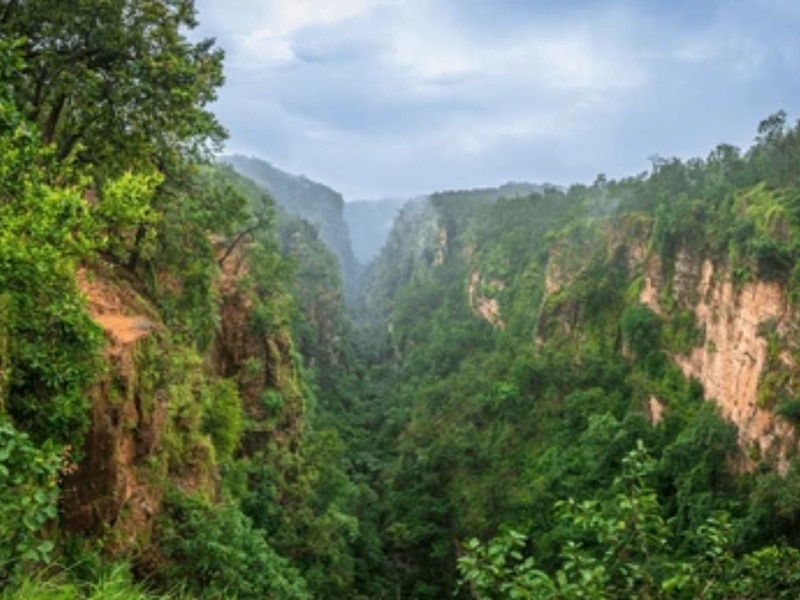 which district of mp largest forest area in madhya pradesh how many ...