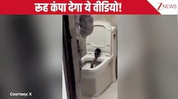अरे बाप रे! होटल के कमोड में फन फैलाए निकला 5 फीट लंबा कोबरा सांप, रोंगटे खड़े कर देने वाला वीडियो वायरल!