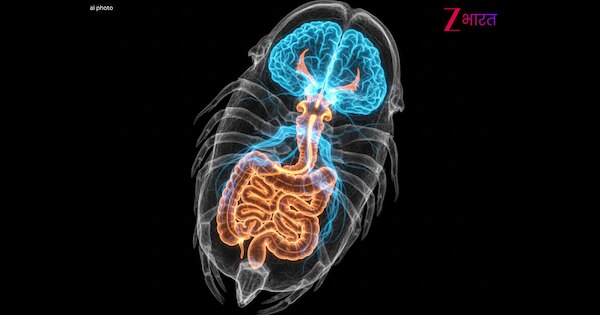 चीन में मिली 52 करोड़ साल पुरानी 'लाश'! जमीन से निकला 'खौफनाक' सच; वैज्ञानिकों के भी उड़ गए होश