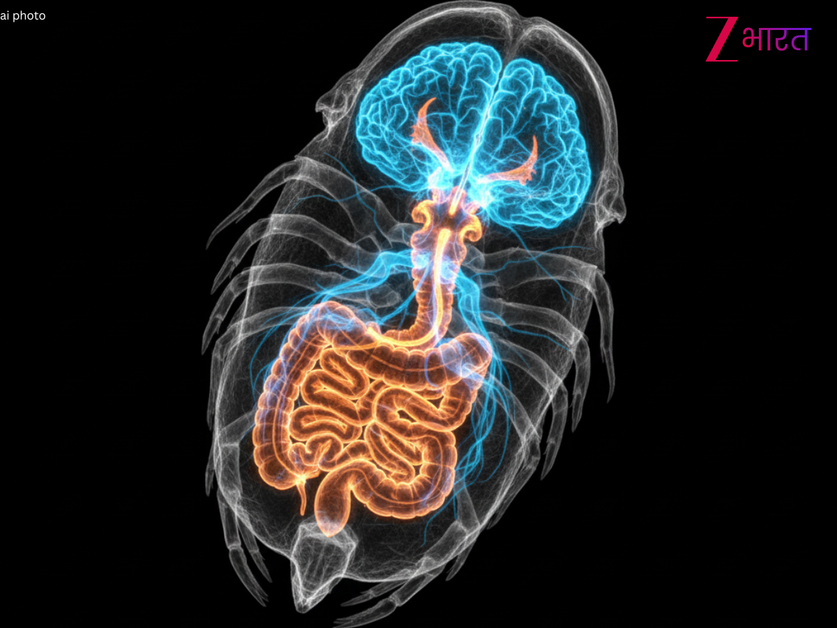 चीन में मिली 52 करोड़ साल पुरानी 'लाश'! जमीन से निकला 'खौफनाक' सच; वैज्ञानिकों के भी उड़ गए होश