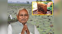 खेती-किसानी को मिलेगा बढ़ावा, बिहार सरकार दे रही अनुदान, जानें डिटेल्स