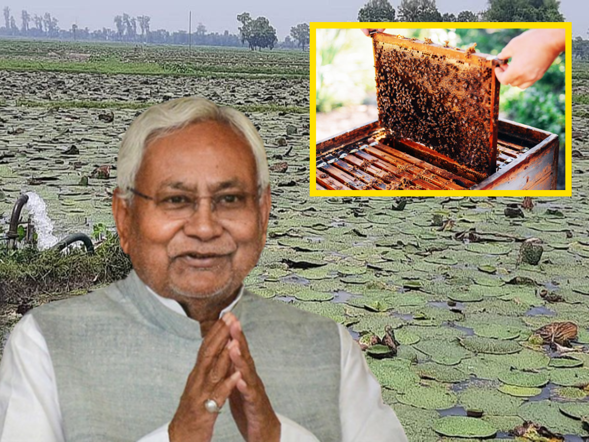 Bihar News: खेती-किसानी को मिलेगा बढ़ावा, बिहार सरकार दे रही अनुदान, जानें डिटेल्स Bihar News: खेती-किसानी को मिलेगा बढ़ावा, बिहार सरकार दे रही अनुदान, जानें डिटेल्स