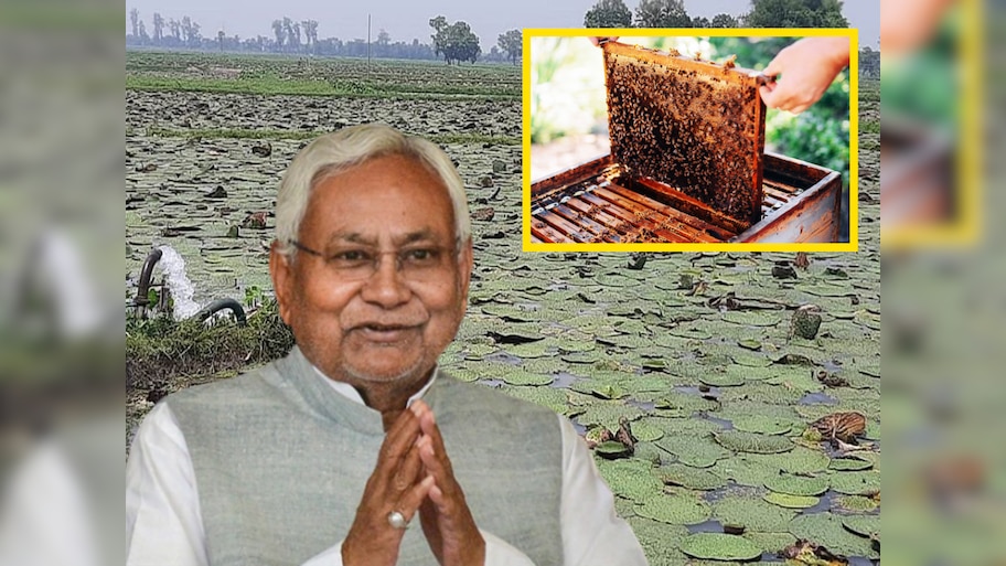 Bihar News: खेती-किसानी को मिलेगा बढ़ावा, बिहार सरकार दे रही अनुदान, जानें डिटेल्स
