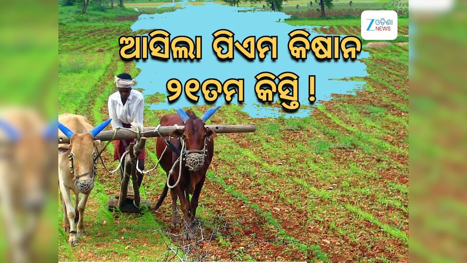 PM Kisan 21th Installment: ୭ଲକ୍ଷ ଚାଷୀଙ୍କୁ ମିଳିଲା ପ୍ରଧାନମନ୍ତ୍ରୀ କିଷାନର ୨୧ତମ କିସ୍ତି
