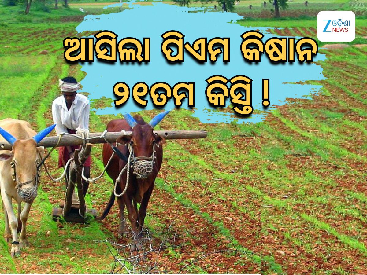 PM Kisan 21th Installment: ୭ଲକ୍ଷ ଚାଷୀଙ୍କୁ ମିଳିଲା ପ୍ରଧାନମନ୍ତ୍ରୀ କିଷାନର ୨୧ତମ କିସ୍ତି PM Kisan 21th Installment: ୭ଲକ୍ଷ ଚାଷୀଙ୍କୁ ମିଳିଲା ପ୍ରଧାନମନ୍ତ୍ରୀ କିଷାନର ୨୧ତମ କିସ୍ତି