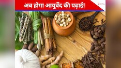 जल्द स्कूल-कॉलेज में हो सकती है आयुर्वेद की पढ़ाई! नया सिलेबस हो रहा तैयार 