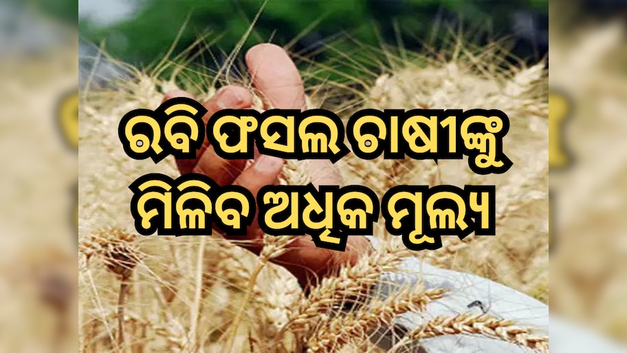 Rabi Crops MSP Hike: ରବି ଫସଲରେ ଚାଷୀଙ୍କୁ ମିଳିବ ଅଧିକ ମୂଲ୍ୟ, ଜାଣନ୍ତୁ କେତେ ବୃଦ୍ଧି ହେଲା MSP?