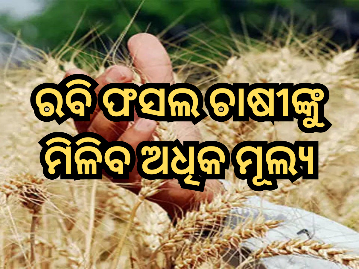 Rabi Crops MSP Hike: ରବି ଫସଲରେ ଚାଷୀଙ୍କୁ ମିଳିବ ଅଧିକ ମୂଲ୍ୟ, ଜାଣନ୍ତୁ କେତେ ବୃଦ୍ଧି ହେଲା MSP? Rabi Crops MSP Hike: ରବି ଫସଲରେ ଚାଷୀଙ୍କୁ ମିଳିବ ଅଧିକ ମୂଲ୍ୟ, ଜାଣନ୍ତୁ କେତେ ବୃଦ୍ଧି ହେଲା MSP?
