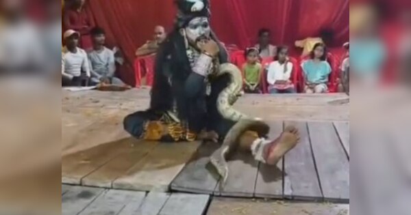 man putting python in neck did shiv tandav dance in durga puja pandal ...