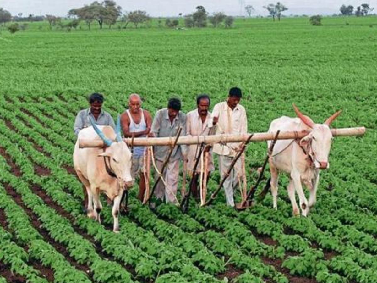 complete process of bhavantar yojana registration date extended and  required document in mp farmer news | एमपी में भावांतर योजना के लिए कौन-कौन  से डॉक्यूमेंट्स की पड़ेगी जरूरत? यहां ...