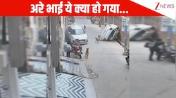क्या ड्राइवर बनेगा रे तू..? हीरो बनने के चक्कर में गली में पलटा दी गाड़ी, देख लोग बोले- पक्का बाबू-बेबी में व्यस्त होगा!