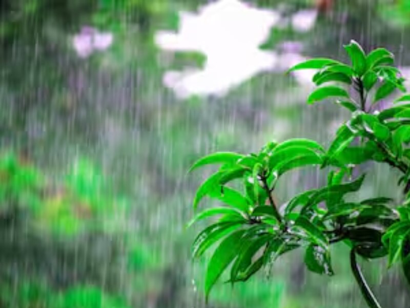 छत्तीसगढ़ में किस सिस्टम का प्रभाव है