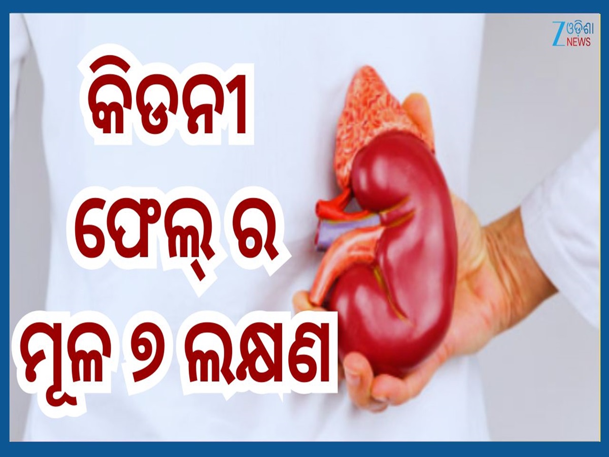 Kidney Failure Symptoms: କିଡନୀ ଫେଲୁଅର ହେବାର ୭ ପ୍ରାରମ୍ଭିକ ଲକ୍ଷଣ, ଦେଖାଦେଉଥିଲେ କରନ୍ତୁନି ଅଣଦେଖା Kidney Failure Symptoms: କିଡନୀ ଫେଲୁଅର ହେବାର ୭ ପ୍ରାରମ୍ଭିକ ଲକ୍ଷଣ, ଦେଖାଦେଉଥିଲେ କରନ୍ତୁନି ଅଣଦେଖା